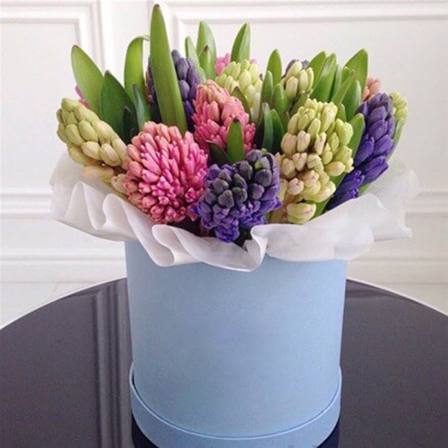 Гиацинты в шляпной коробке